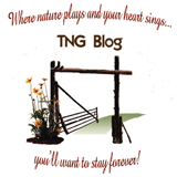 The TNG Blog